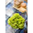 13'' Faux Cauliflower Succulent-1792303294