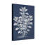 Plantes et fleurs, plante botanique sur toile bleu foncé-1420134329-1420134326-1420134327