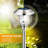 16.3 " Solar Powered Integrated LED Outdoor Floor Lamp-86048839