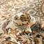 Oriental Synthetic Area Rug-1535641599