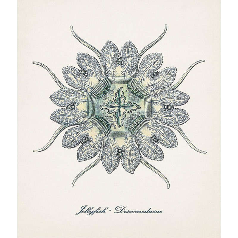 Nautical Art I Print by Sofia Fox, Outdoor, 28" H x 24" W