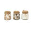 Remplisseur de vases en verre Highland Dunes