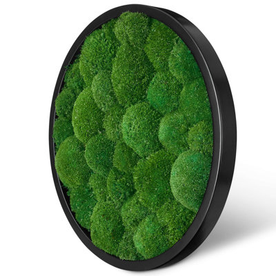 Moosbild Islandmoos Wall Décor