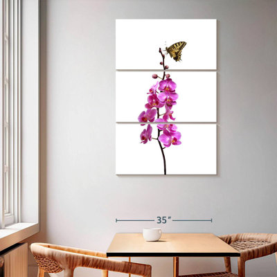 Butterfly On Orchid Stalk