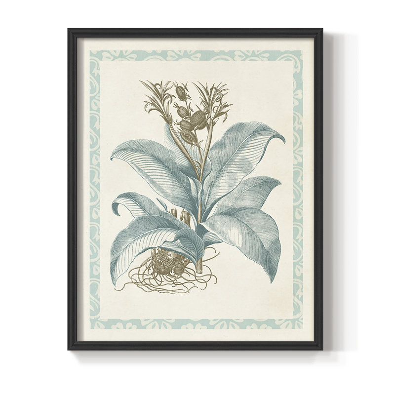 Reproduction encadrée Willow Blue Besler III - bois massif, Noir, H 14 po x l 11 po