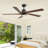 Sheran 72'' Ceiling Fan with LED Lights-1536509505