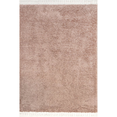Modern Tasseled Shag Area Rug
