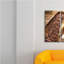 Hudson Appliance Pull-1223930796-1329599612