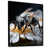 Black Floater Frameed Canvas