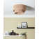 Atzhiry Wicker Flush Mount