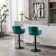 Adjustable Bar Stools with Backrest and Footrest, Set of 2