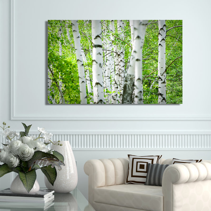 Birch Trees I - Reproduction de photo sur toile tendue, H 36 po x l 60 po x P 1,5 po