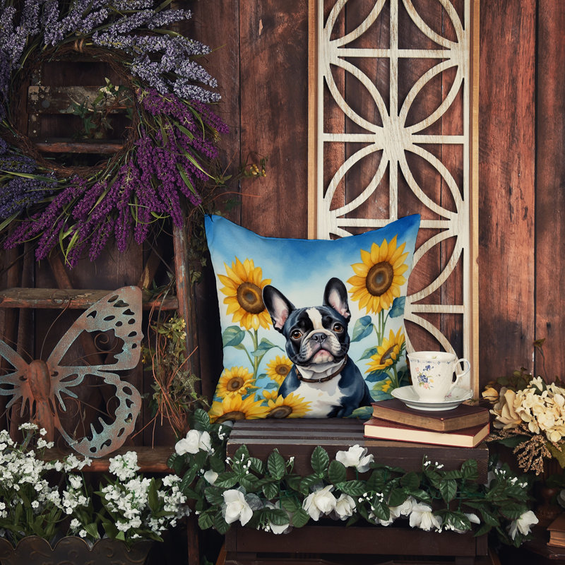 Other/No Pattern Outdoor Throw Pillow, 14"H x 14"W