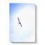 Flying Seagull Abstract Art - Wrapped Canvas-55313422