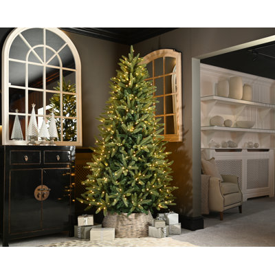 150' H Christmas Tree
