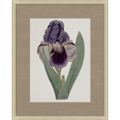 Floral Study In Plum 2 Painting