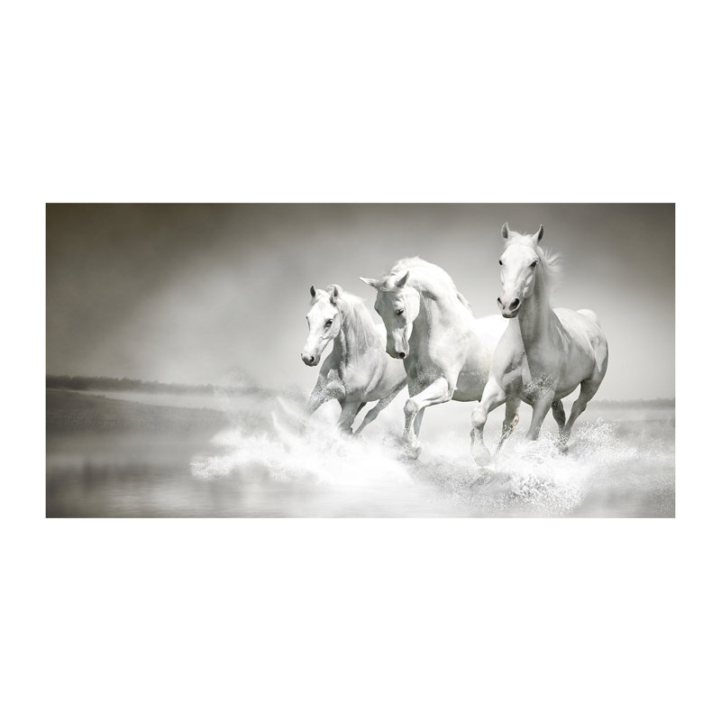 White Horses - Wrapped Canvas Print