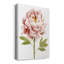 «Watercolor Peony II», impression sur toile tendue-1729834112