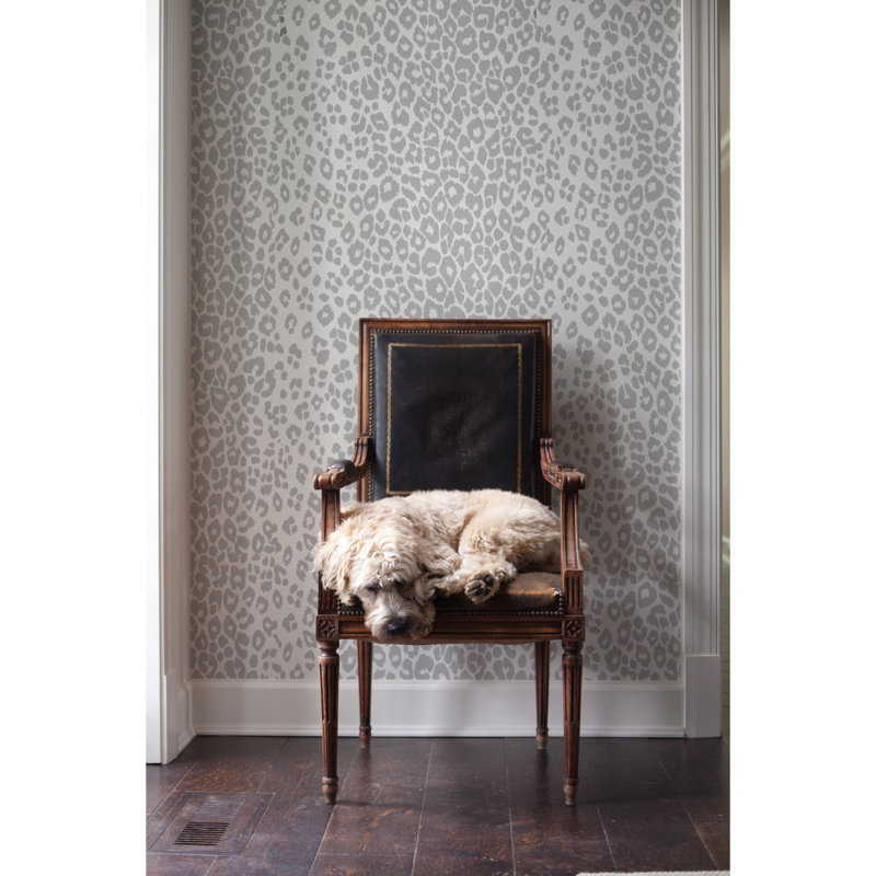 Iconic Leopard Wallpaper, Sky