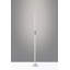 Leif 58'' LED Novelty Floor Lamp-477820995