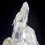 Cristal Alesana