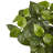 16'' Faux Foliage Plant