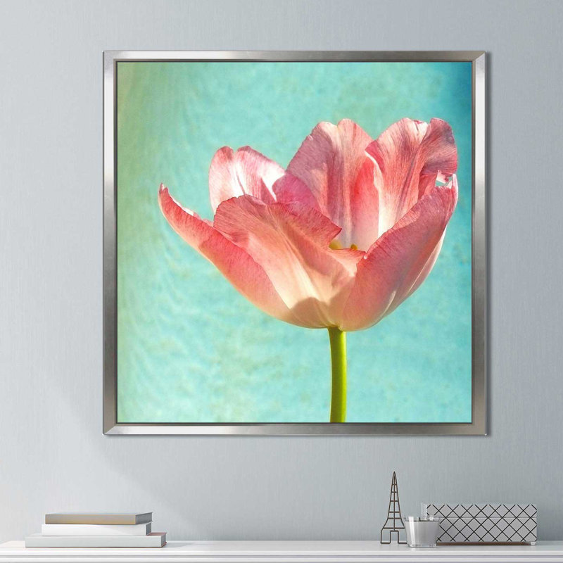 «Pink Tulip», reproduction de photo, H 28 po x l 28 po x P 2 po, Cadre flottant argent