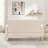 Practical Stylish Sofa with Built-in Storage