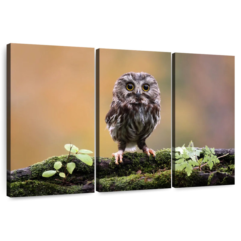 Brampt Charming Little Owl, 48" H x 74" W