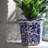 Blue Garden Blue and White Chinoiserie 3 Piece Garden Planter Set