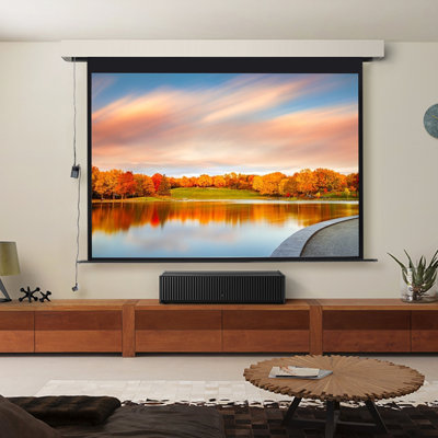 Inbox Zero Outdoor Electric Projector Screen