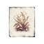 Botanique IV Print by Zoey Riley-26940159-26940161