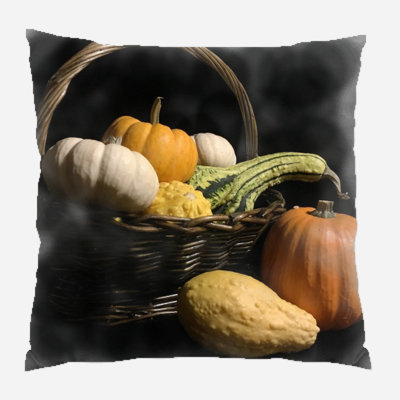  Coussin décoratif intérieur / extérieur Pumpkin
