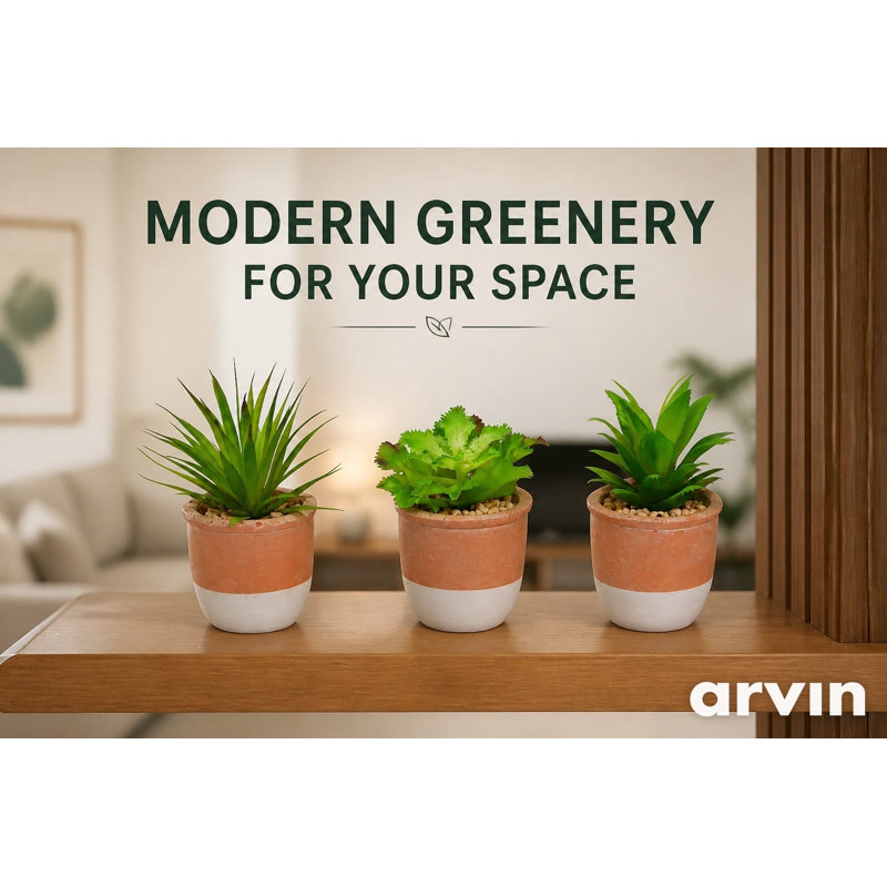 3 "plante grasse 3" en pot décoratif - ensemble de 3