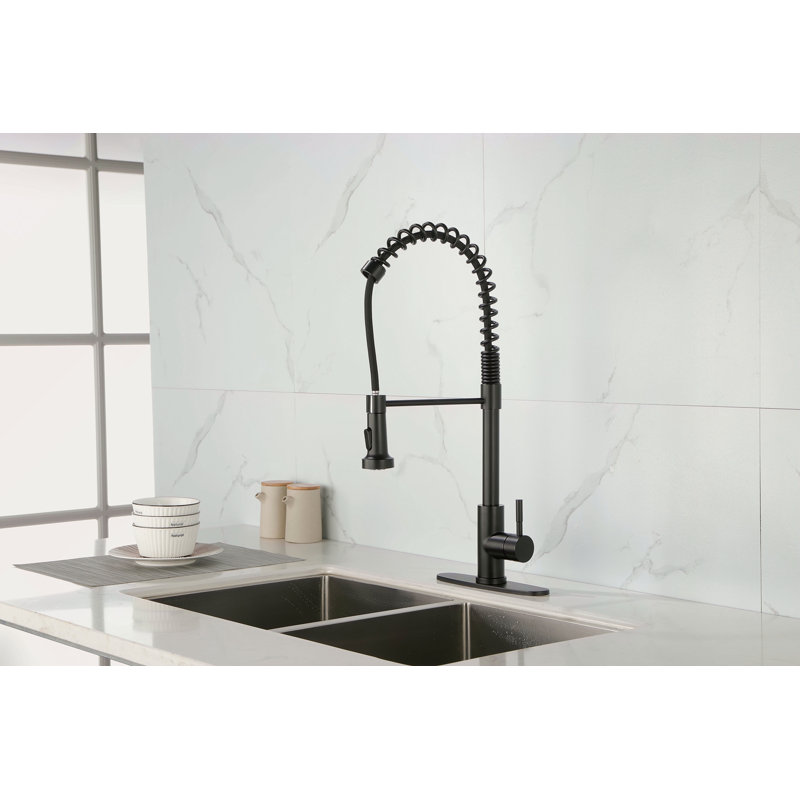 Robinet de cuisine à ressort avec douchette extractible, robinet d'évier de cuisine monocorps en acier inoxydable