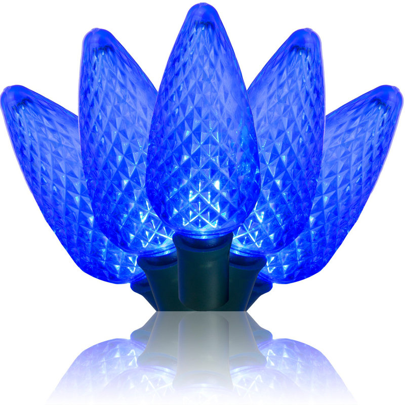C9 LED Christmas String Light, Blue, 17' L, 25