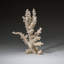 Genuine Branch Coral (.5 Lbs)