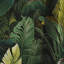 Tropicana Jungle - motif tropical-107534273