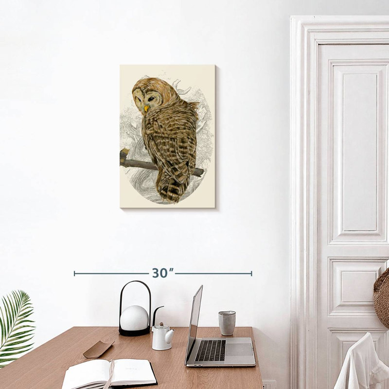 Brampt Barred Owl II, 24" H x 16" W