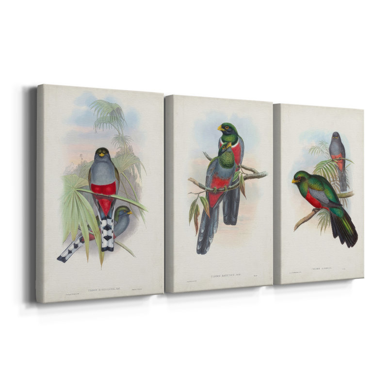 Gould Tropical Birds IV - Toile tendue avec châssis sur mesure - 3 pièces