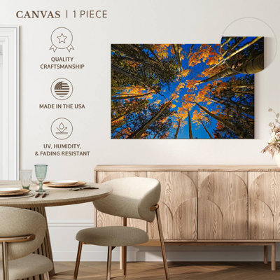 Alvord Aspen Forest In Autumn