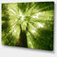 Sunlight Peeking Through Green Tree - impression d'art graphique-712535470-712535465
