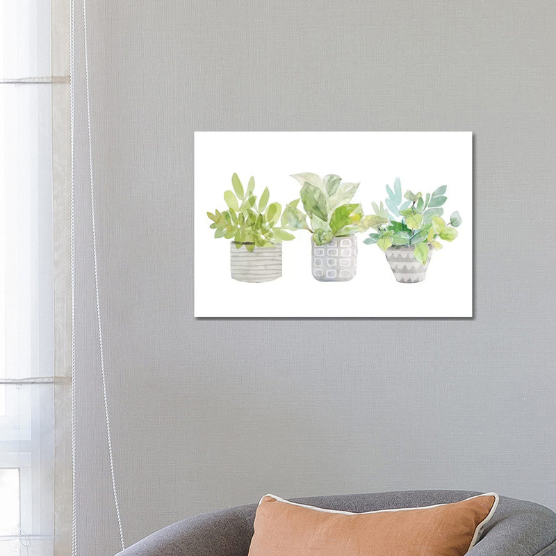 Decorative Plant Arrangement II by Lanie Loreth - Wrapped Canvas Painting, 66.04 cm H x 45.72 cm W x 1.91 cm D