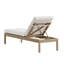 Chaise Lounge-1451815112
