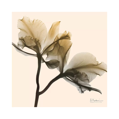 Neutral Twins I by Albert Koetsier - Wrapped Canvas Print