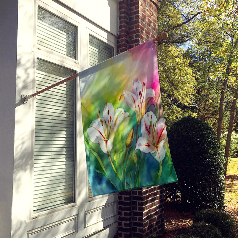 Drapeau de maison en polyester à double face H 40 po x l 28 po