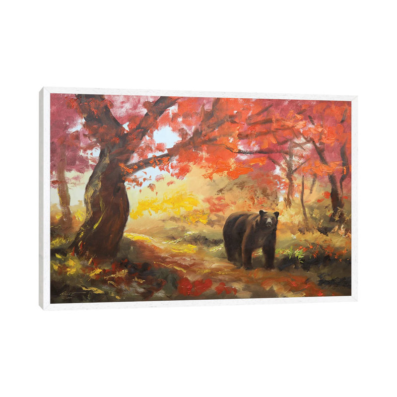 Bear, White