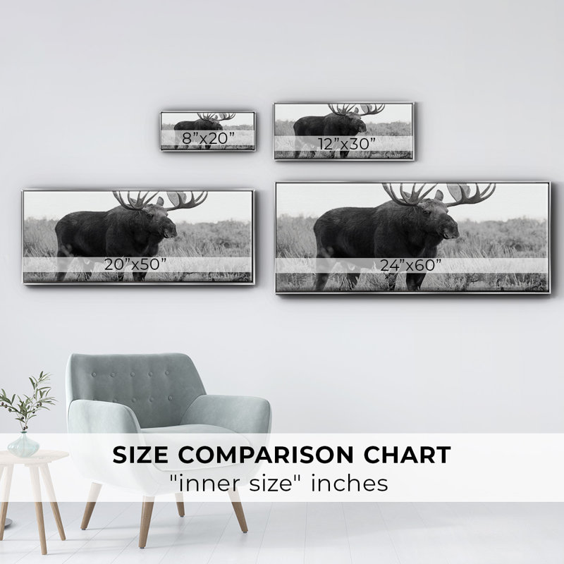 Grand Teton Bull Moose - toile encadrée, H 8 po x l 20 po