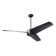 Ambit Ceiling Fan