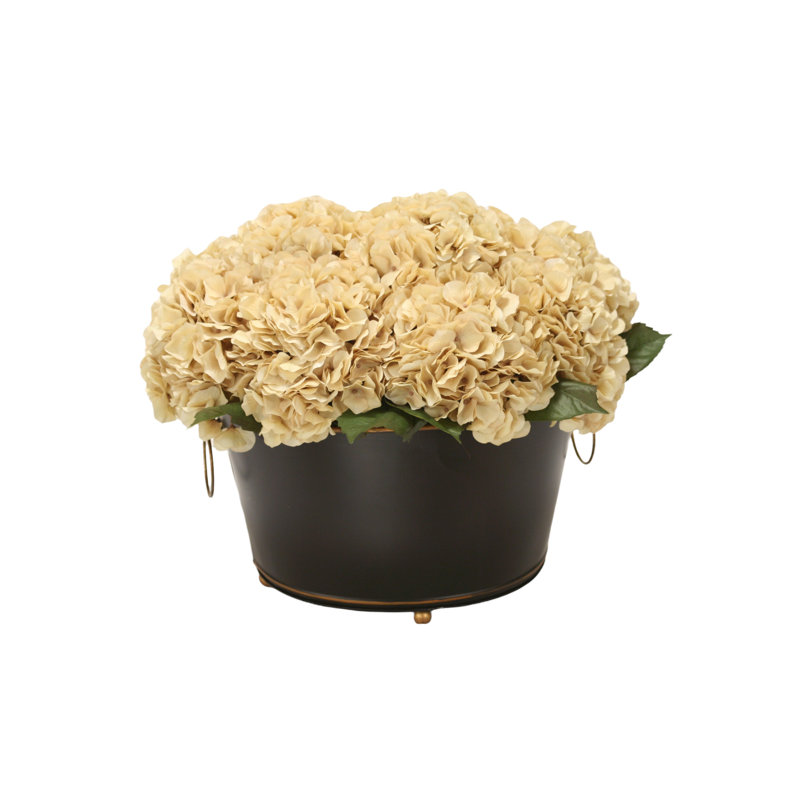 Hydrangea Floral Arrangements in Pot